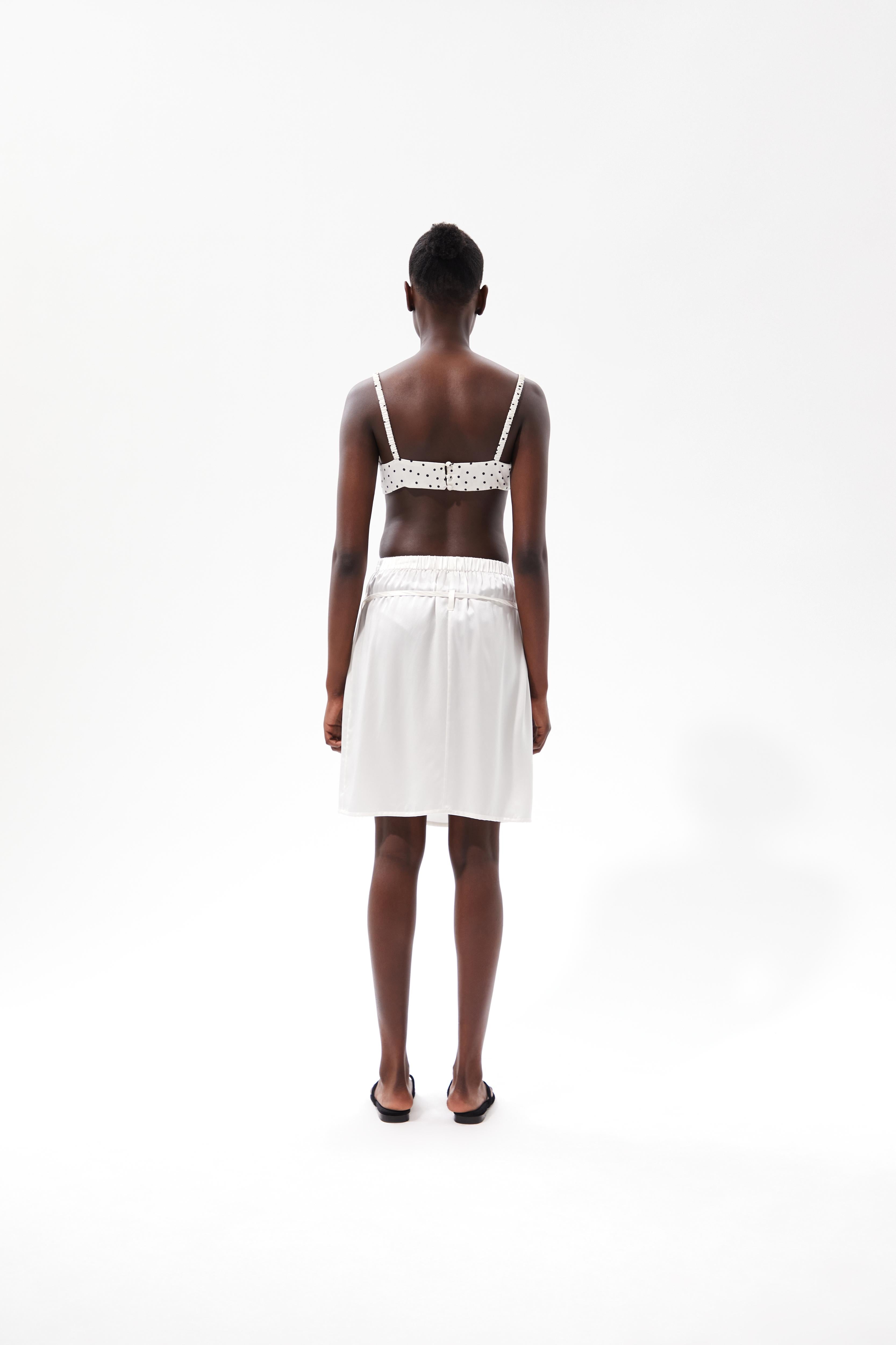 SKIRT III